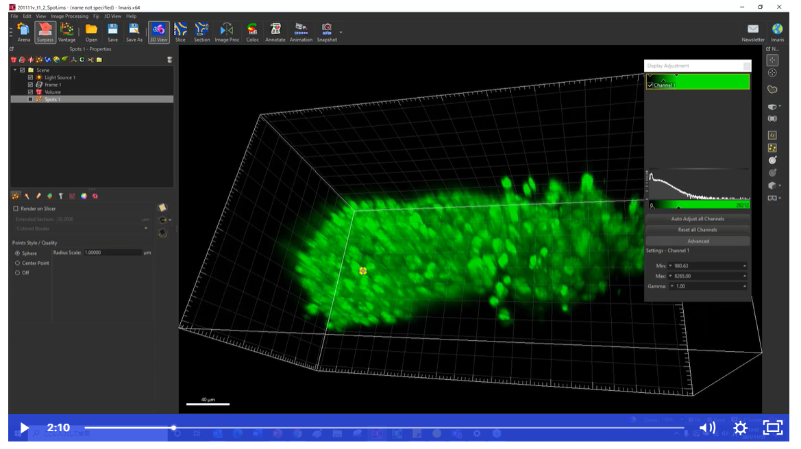 Imaris Webinar - そろそろ、機械学習。