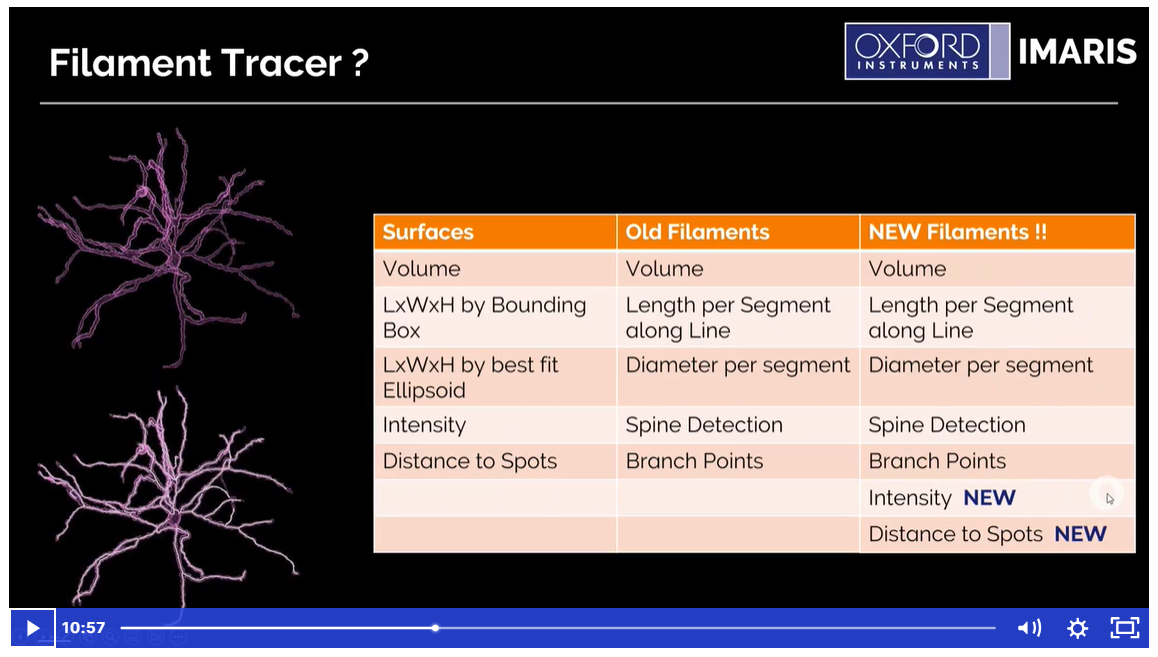 Imaris Webinar_ Searcher, Seeker, Inquirer, Tracer