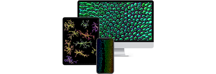 Imaris と Software アイコン