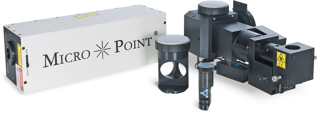 Micropoint - Simultaneous and precise illumination and ablation